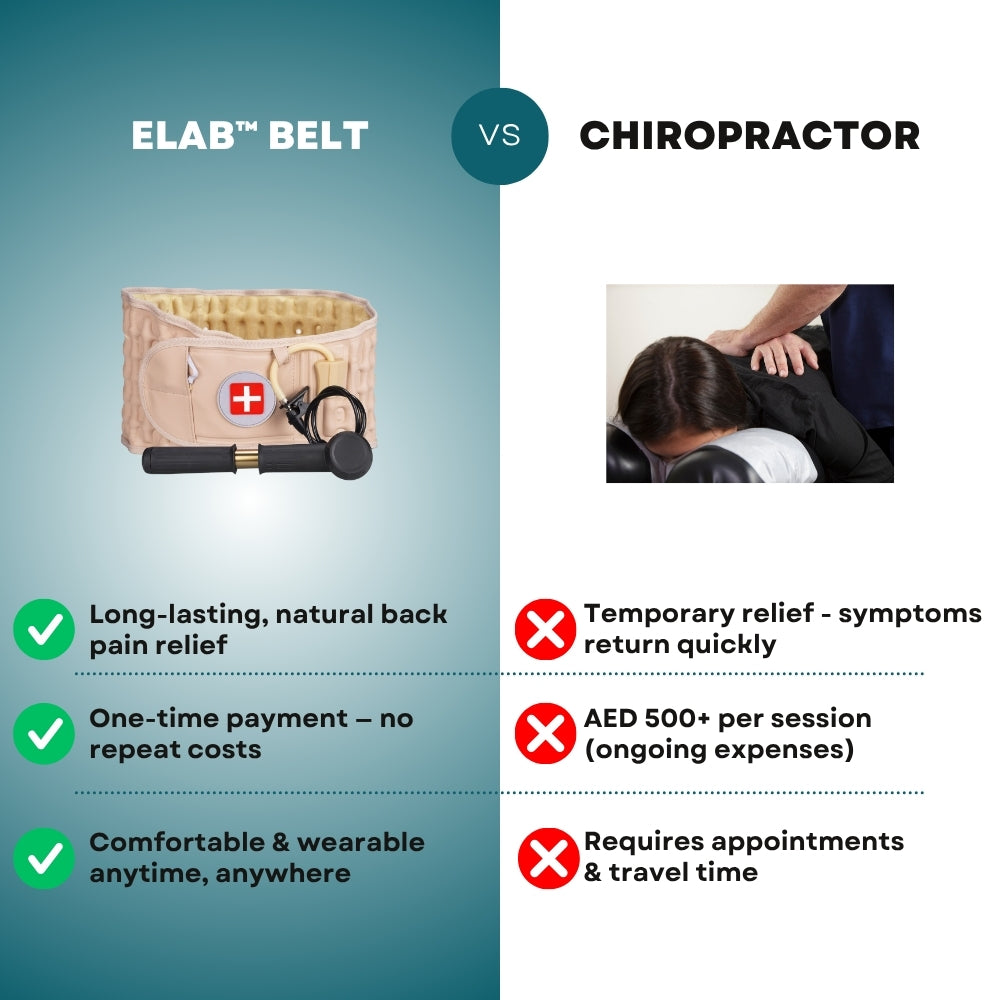 Decompression and Back Support Belt